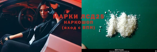 прущие грибы Медвежьегорск