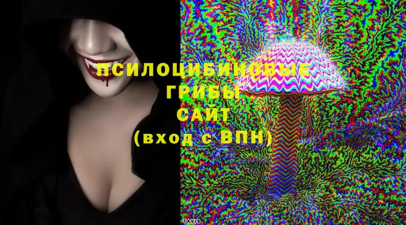 Галлюциногенные грибы Cubensis  мориарти Telegram  Тихорецк  где можно купить наркотик 