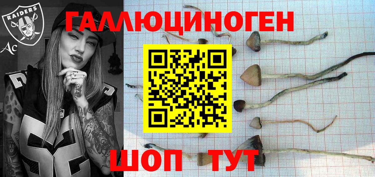 Тихорецк  Псилоцибиновые грибы ЛСД  Вход с VPN 