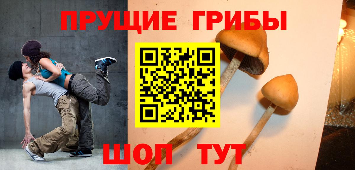 Галлюциногенные грибы мухоморы Тихорецк