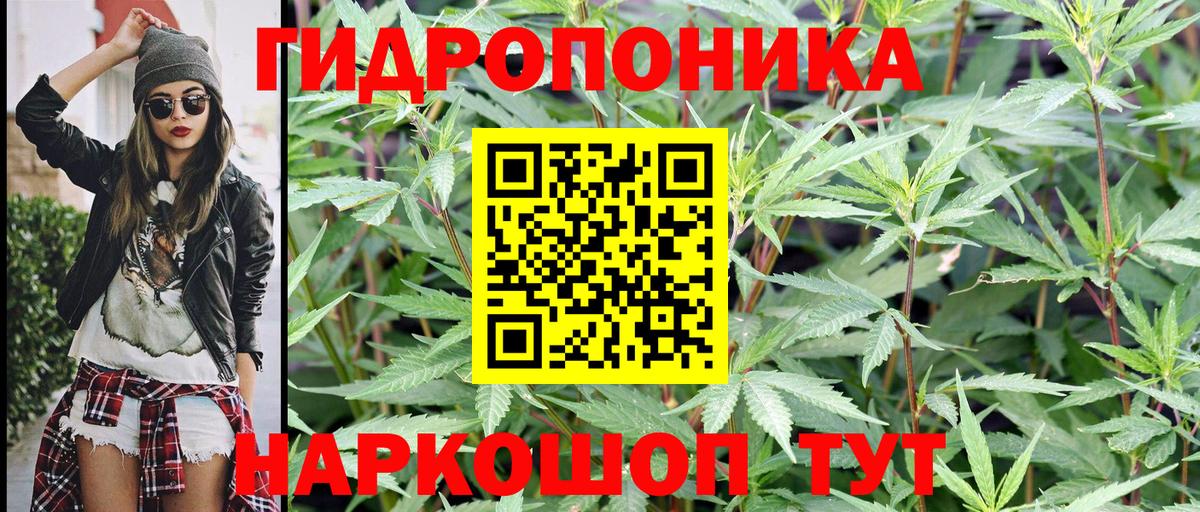 Конопля Ganja  Вход с VPN  Тихорецк  Каннабис конопля 